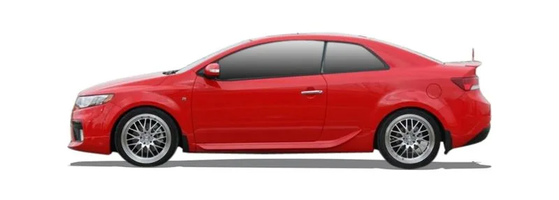 CERATO KOUP III (YD)