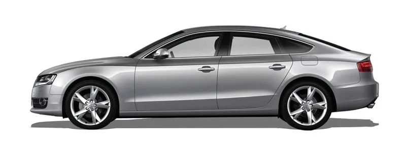 A5 Sportback (8TA)
